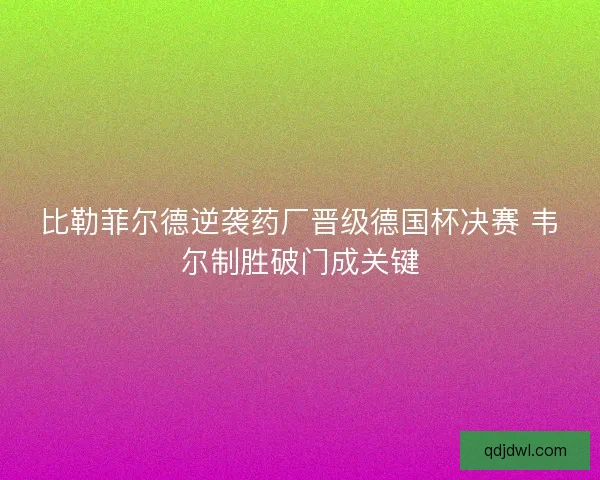 比勒菲尔德逆袭药厂晋级德国杯决赛 韦尔制胜破门成关键