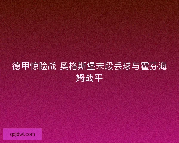 德甲惊险战 奥格斯堡末段丢球与霍芬海姆战平 德甲惊险战 奥格斯堡末段丢球与霍芬海姆战平