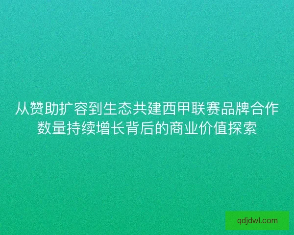 从赞助扩容到生态共建西甲联赛品牌合作数量持续增长背后的商业价值探索