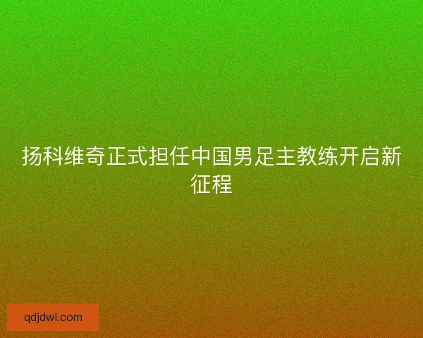 扬科维奇正式担任中国男足主教练开启新征程