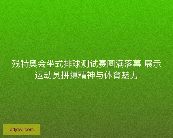 残特奥会坐式排球测试赛圆满落幕 展示运动员拼搏精神与体育魅力