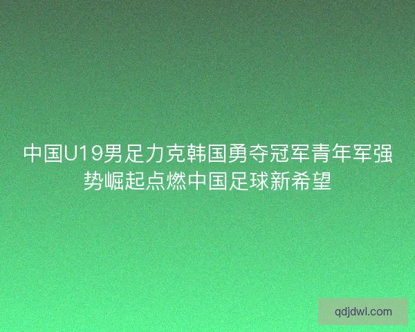 中国U19男足力克韩国勇夺冠军青年军强势崛起点燃中国足球新希望