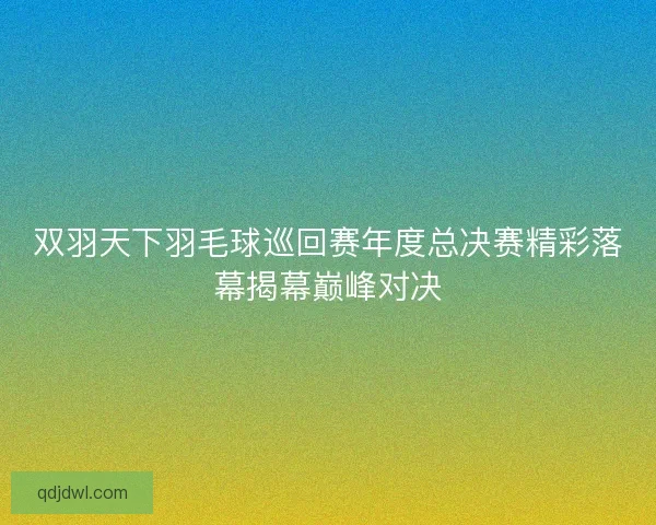 双羽天下羽毛球巡回赛年度总决赛精彩落幕揭幕巅峰对决
